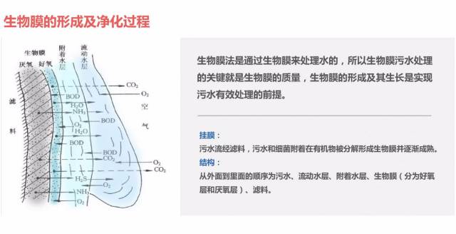 沐歌環保